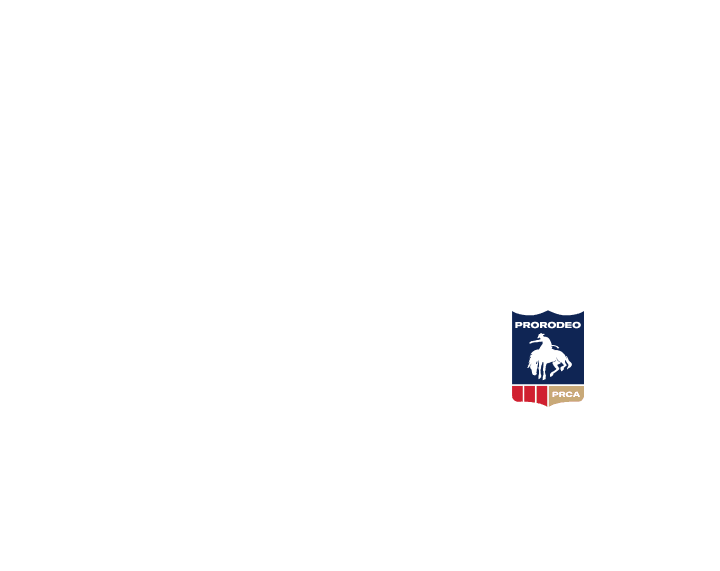 Pro Fantasy Rodeo