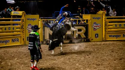 Who's heading to Vegas? Here's every NFR athlete in every event