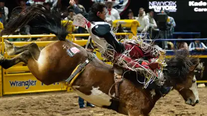 Watch 'Final 15: NFR Standings Reveal' on Cowboy+