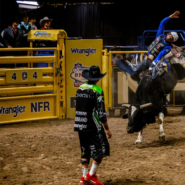 Who's heading to Vegas? Here's every NFR athlete in every event