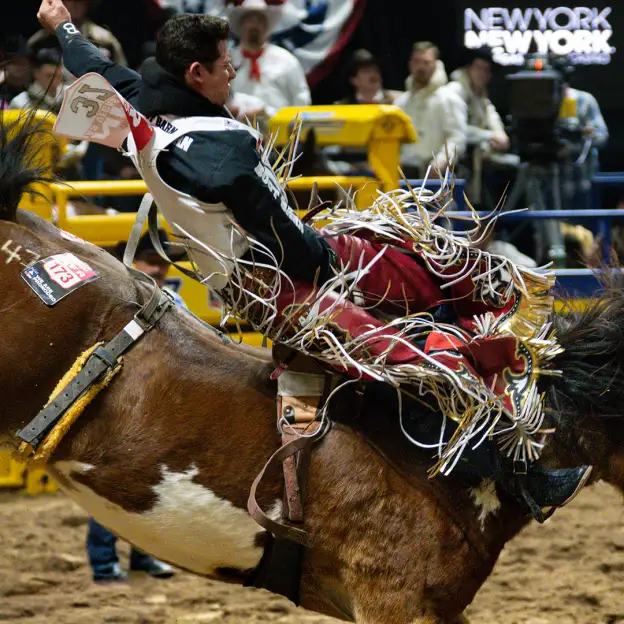Watch 'Final 15: NFR Standings Reveal' on Cowboy+